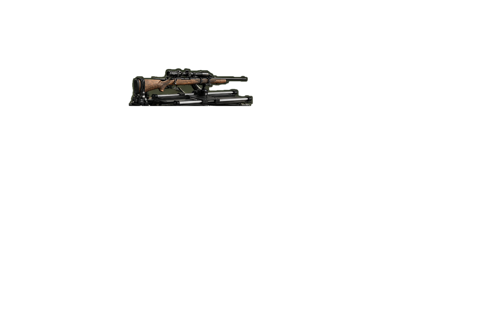 The P-TAS rail carrying a scoped rifle, mounted on the quad bike's cargo rack